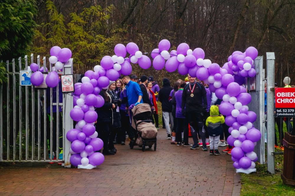 Brama z fioletowych balonów przy wejściu do Ogrodu Botanicznego